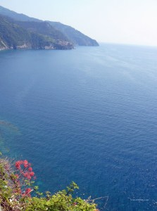 View of the sea and the coast from one of the villages of the Cinque Terre