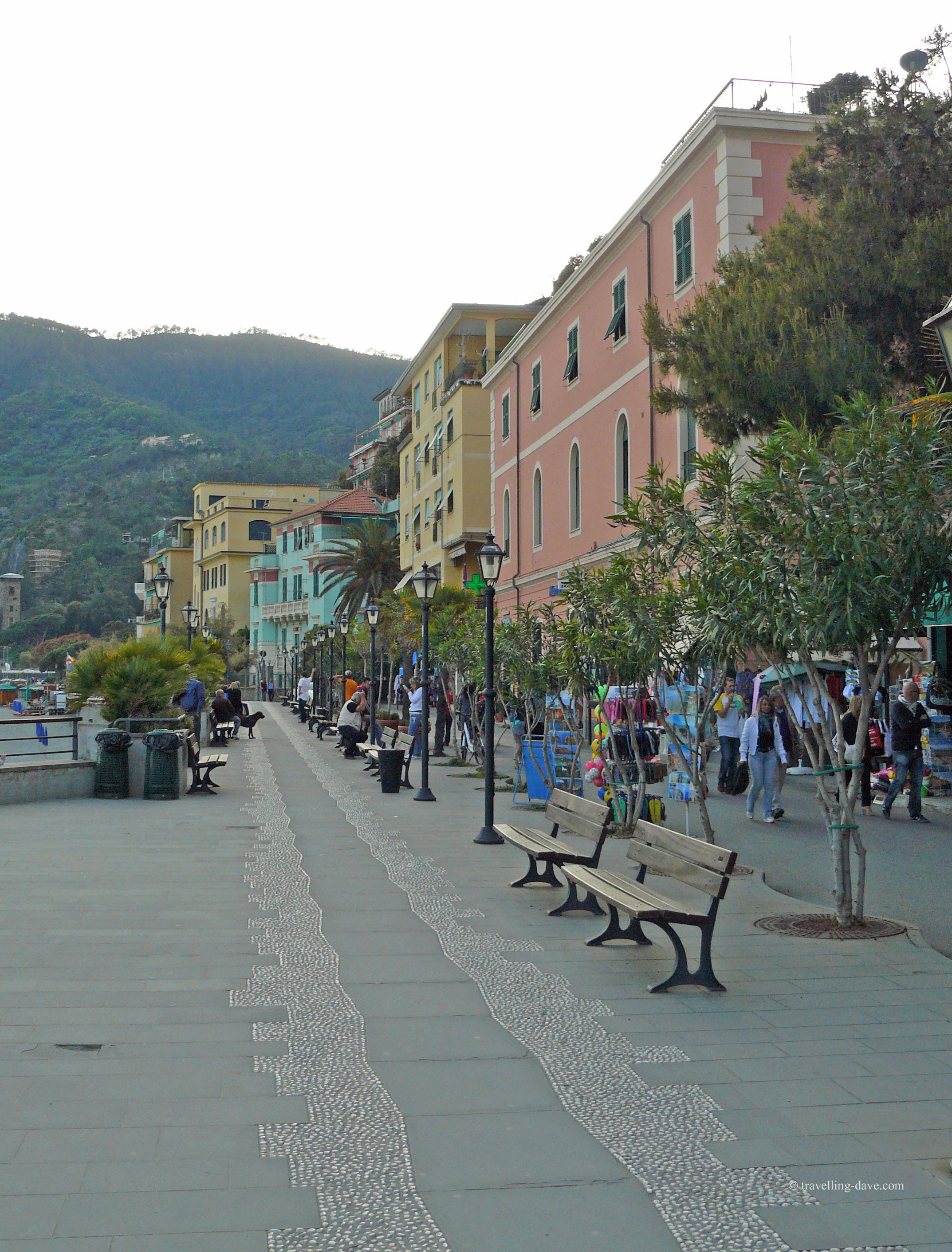 View of the benches and trees along Monterosso promenade