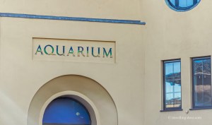 Entrance to London Zoo Aquarium