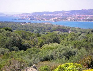 The island of Caprera seen from La Maddalena