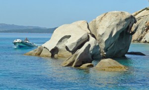 A rock formation resembling a dog