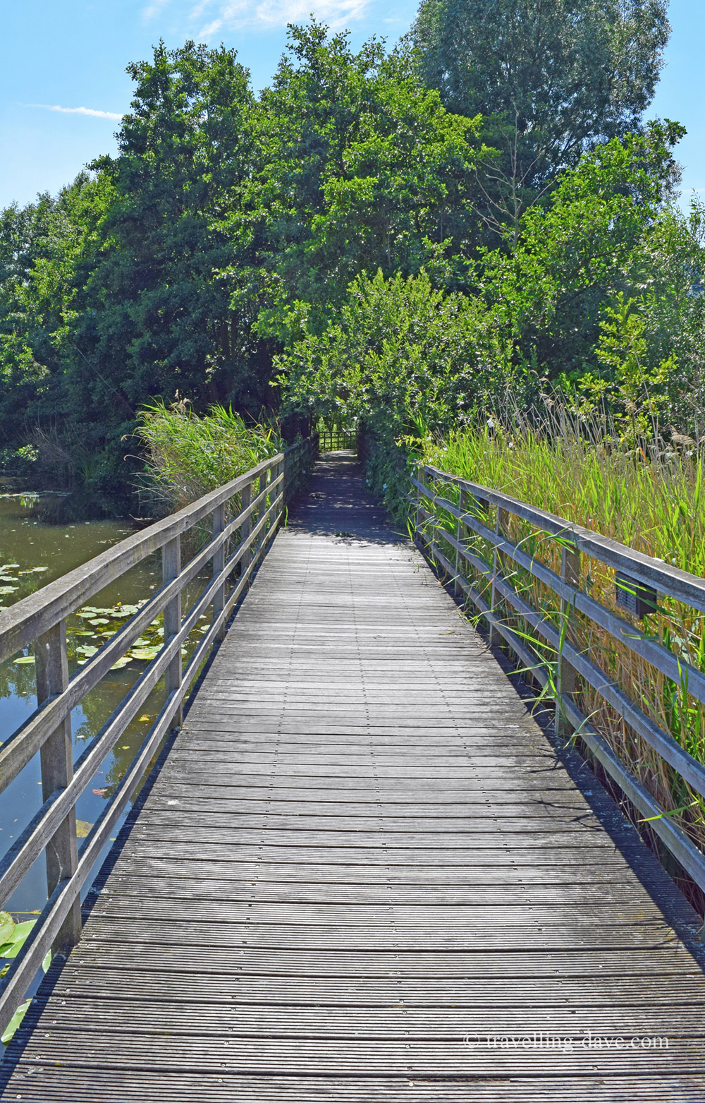 Boardwalk at the Greenwich Peninsula Ecology Park