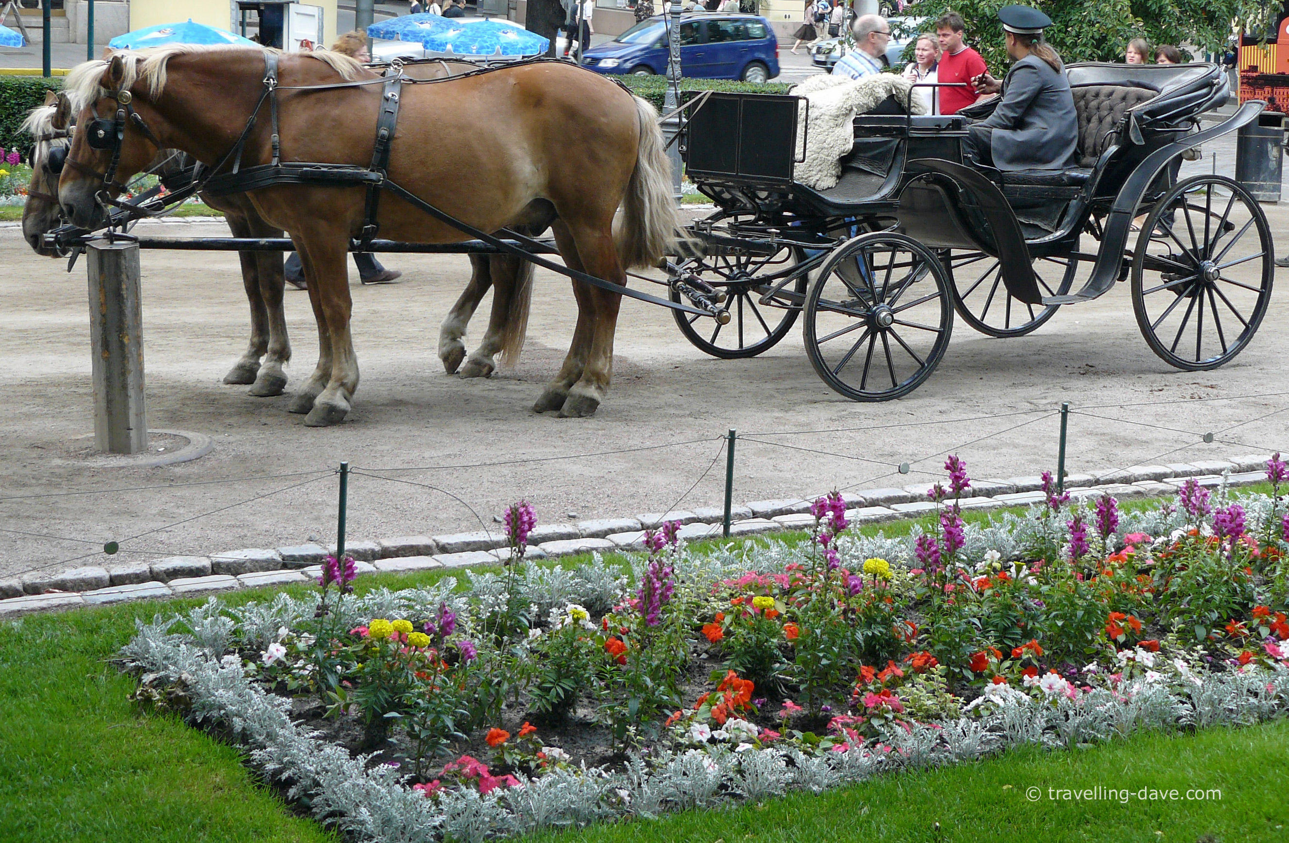 Esplanade Park horses and carriage