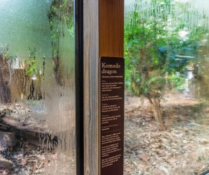 London Zoo Komodo Dragon enclosure