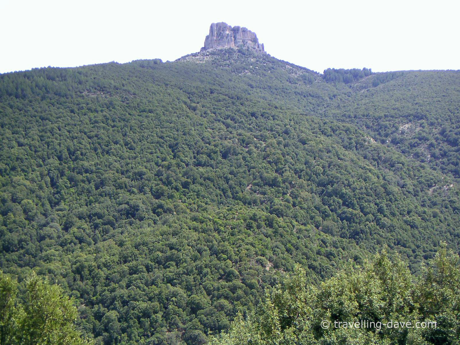 View of Montes Forest in Sardinia