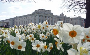 Flowers by the Queen's House in Greenwich