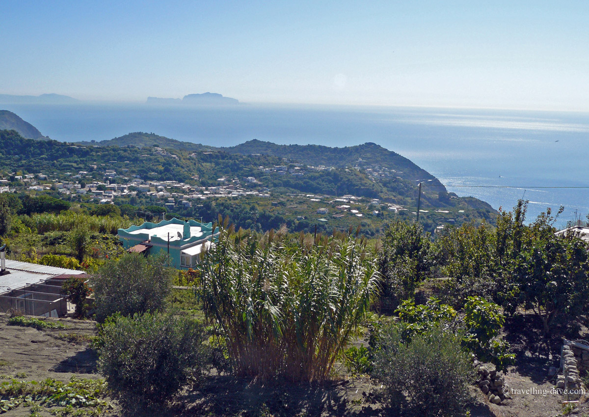 The coastline and Procida seen from Ischia