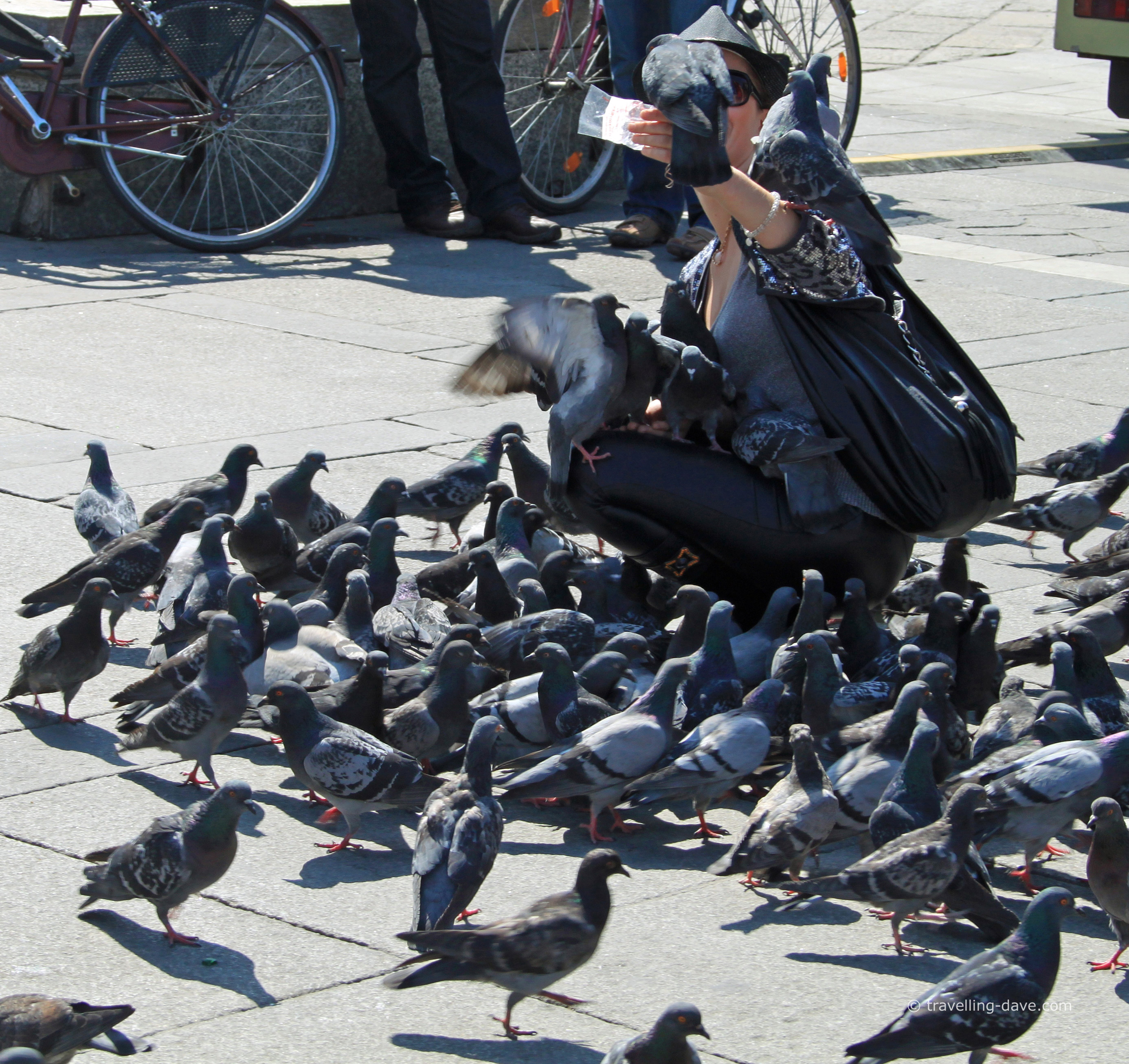 Feeding pigeons in Milan