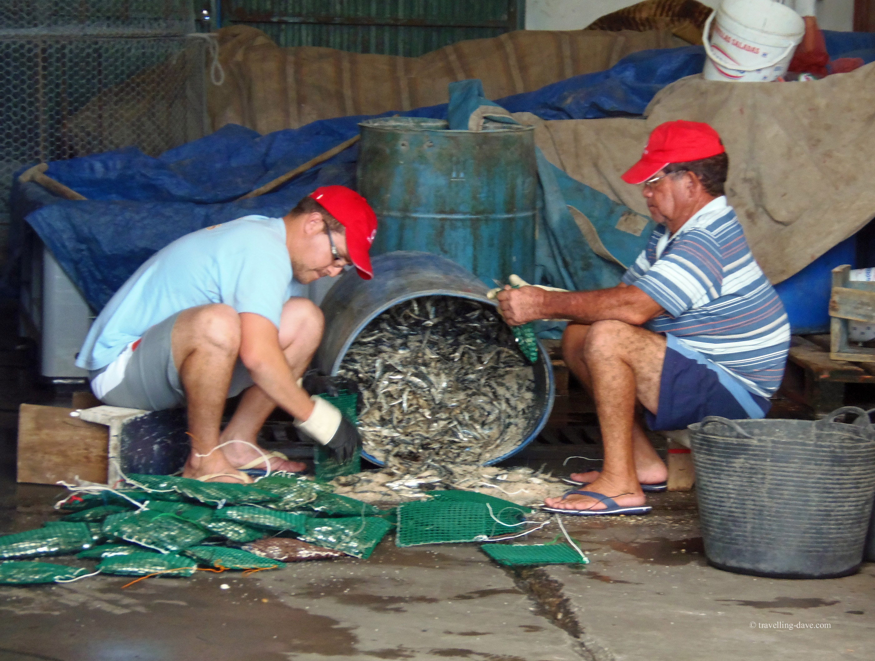 Los Cristianos fishermen