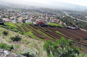 Valle de La Orotava in Tenerife
