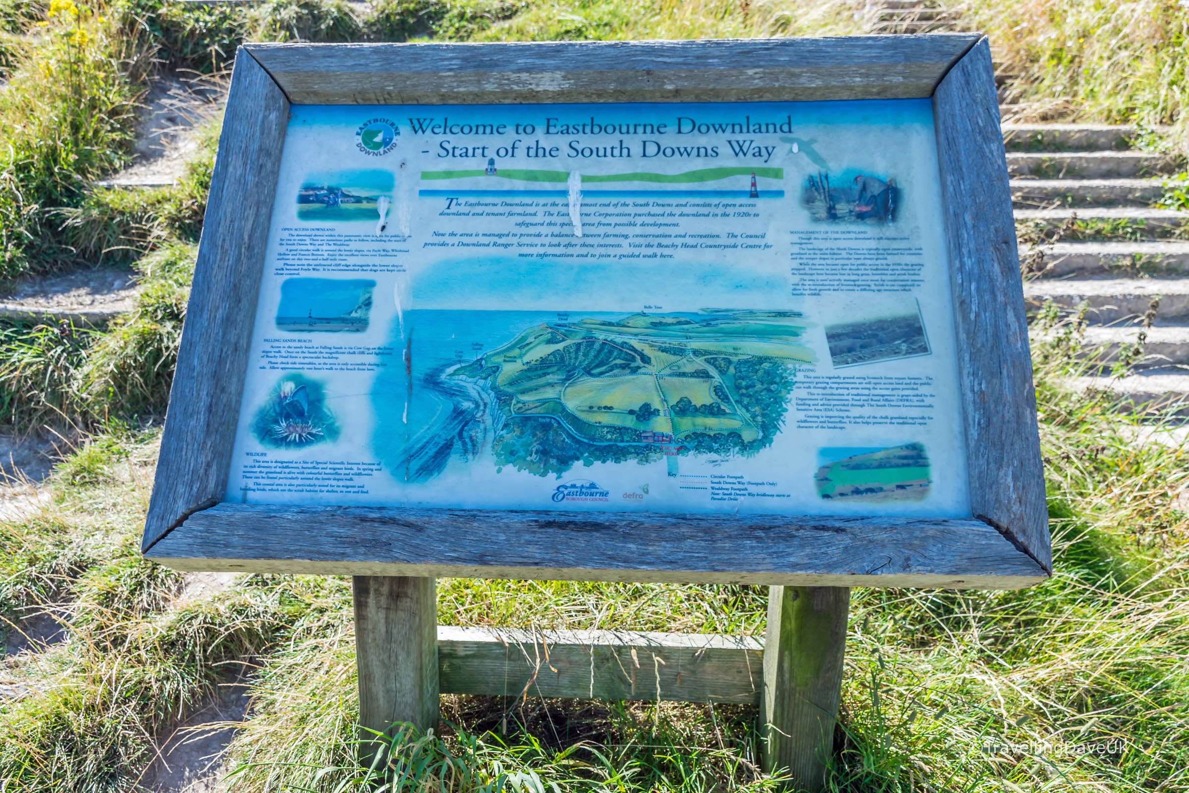 View of the Eastbourne Downland map