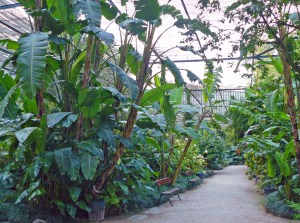 View of the Estufa Fria at Edward VII Park in Lisbon