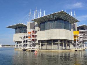 View of Lisbon's Oceanarium