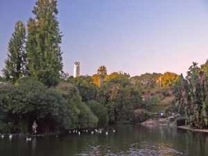 The lake at Edward VII Park