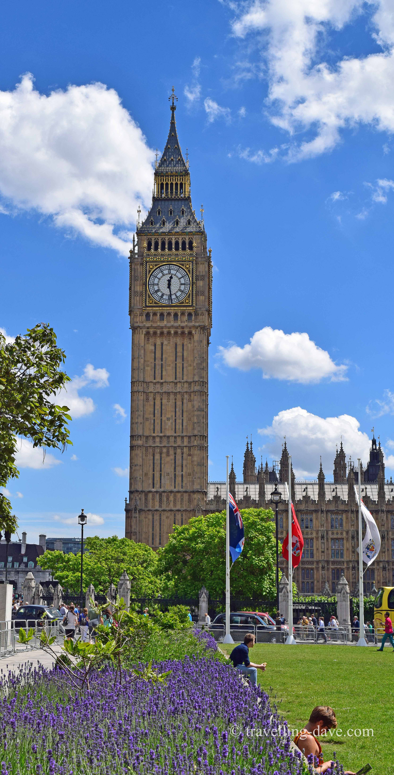 Flowers and the Elizabeth Tower