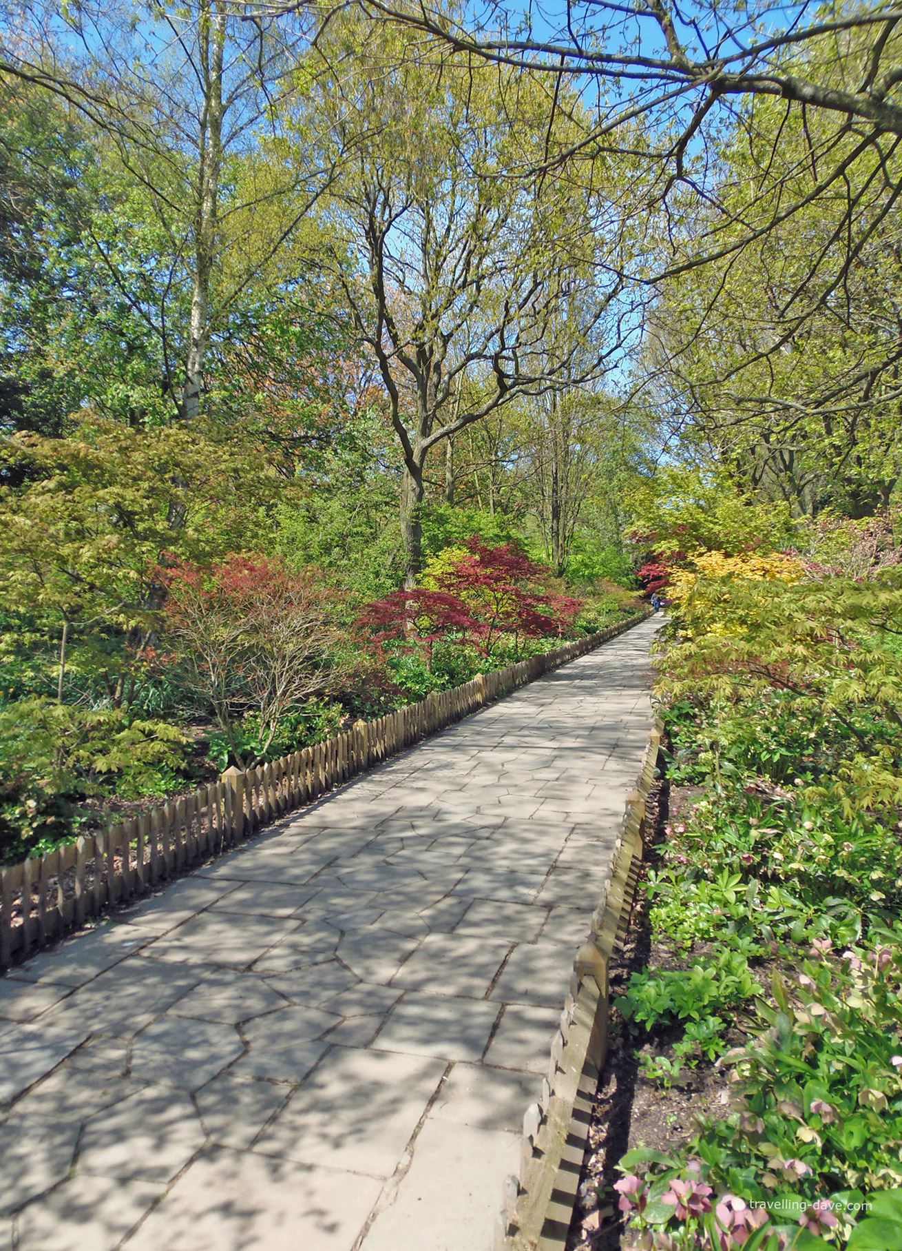 One of Holland Park paths