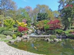 Holland Park Kyoto Garden pond