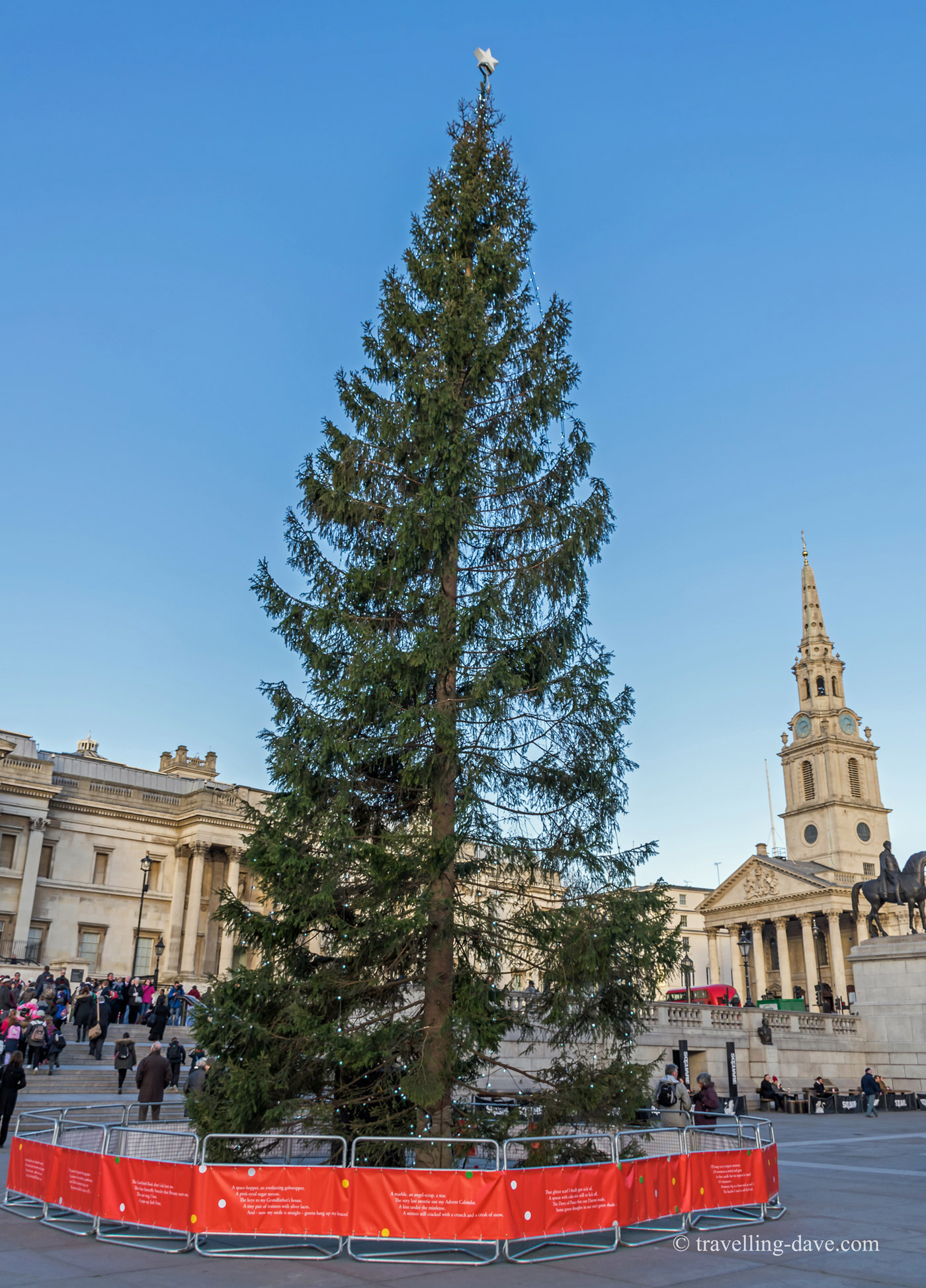 View of Trafalgar Square Christmas Tree