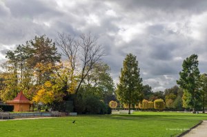 View of Battersea Park in Autumn