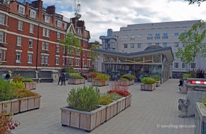 The view from Brown Hart Gardens pavilion