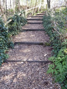 View of one of Camley Street Natural Park paths