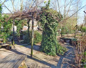View of London's Camley Street Natural Park
