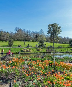Panoramic view of Golders Hill Park