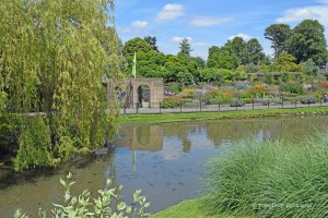 View of Golders Hill Park pond