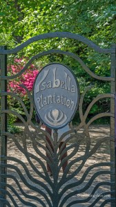 View of the gate at the entrance of the Isabella Plantation