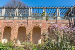 Looking up at the Pergola