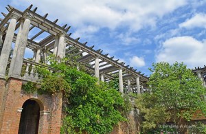 Overgrown plants on the Pergola