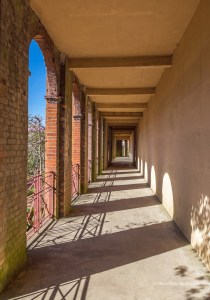 Sun light filtering through the Pergola