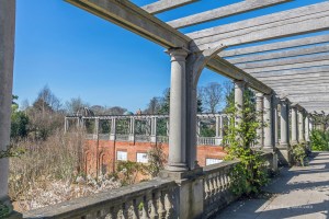 View of the timber structure of the Pergola