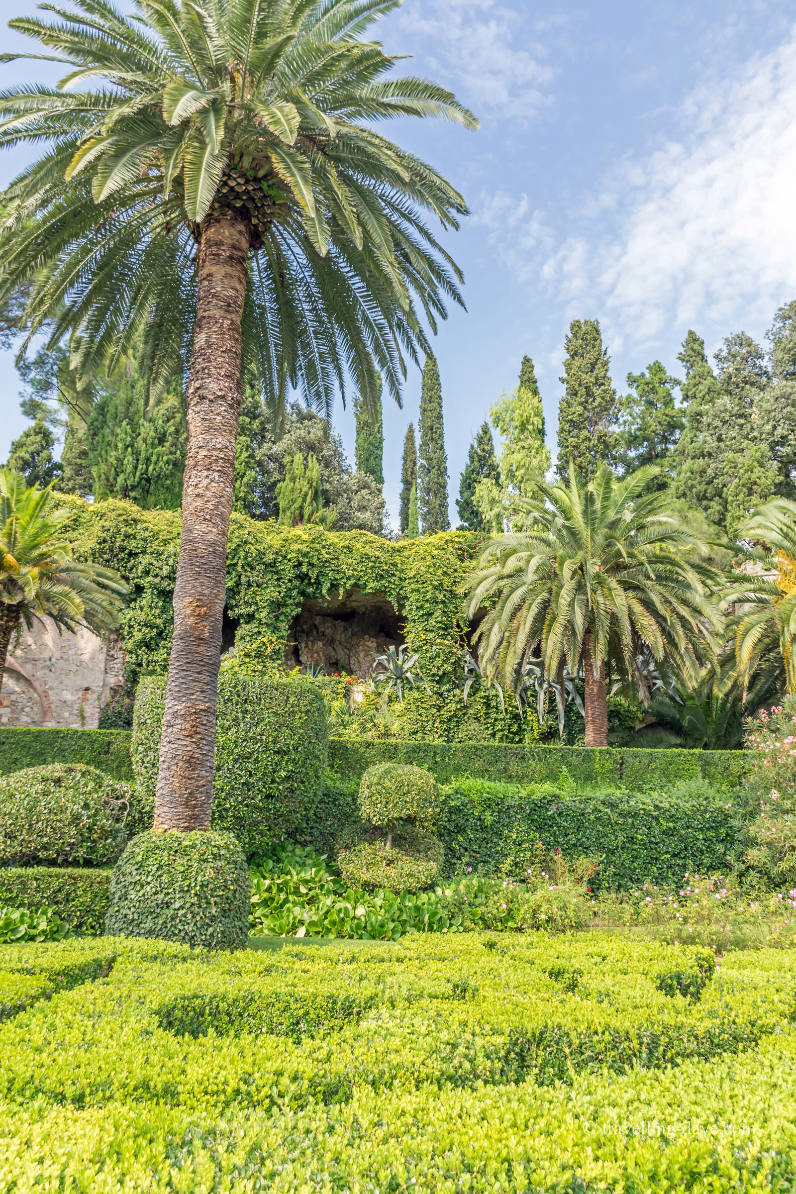 Palm trees and gardens