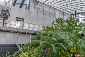 View of the Sky Garden Darwin Brasserie