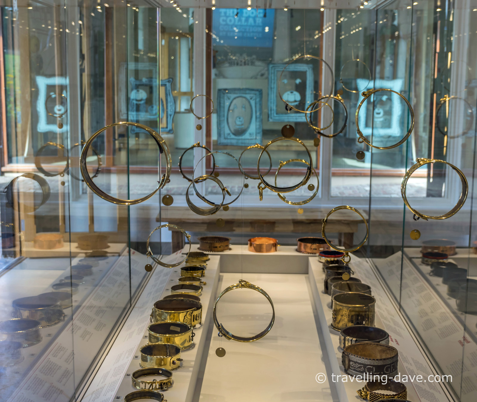 Dog collars on display