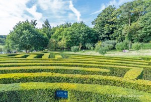 View of the maze at Leeds Castle
