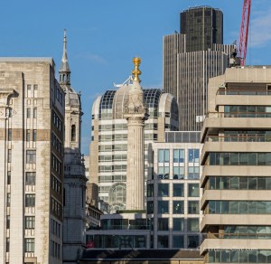 View of London's Monument