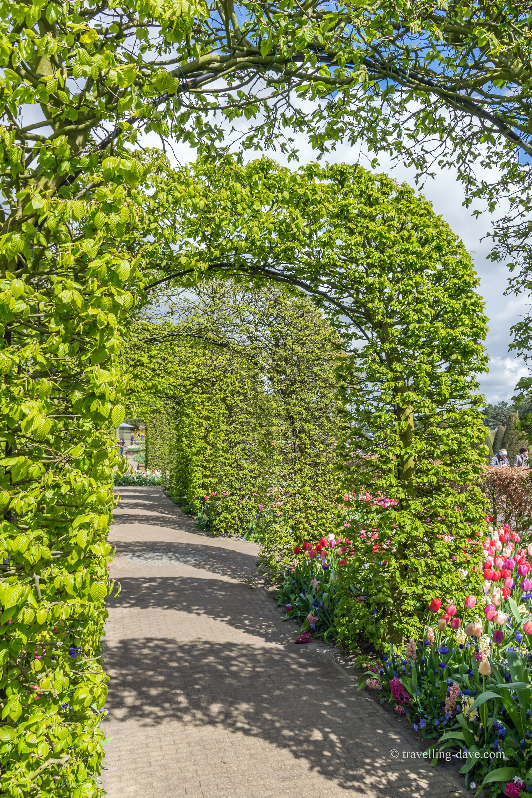 One of Keukenhof's inspirational gardens