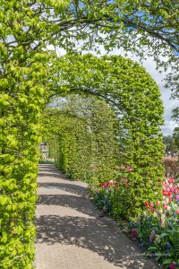 One of Keukenhof's inspirational gardens