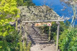 View of the Japanese country garden at Keukenhof