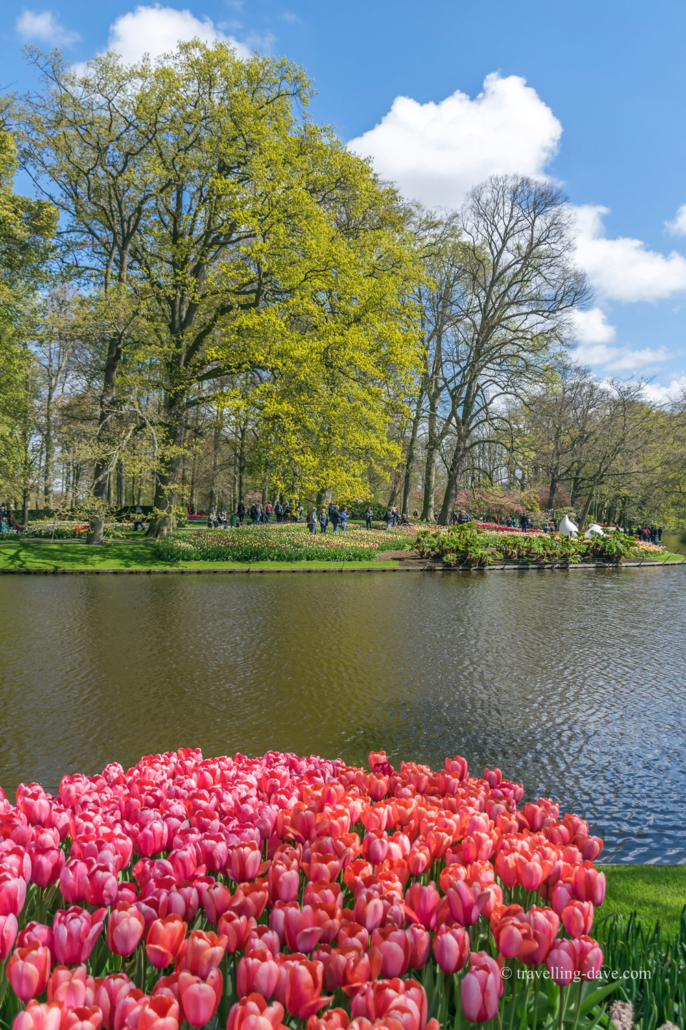 View of the small lake at Keukenhof