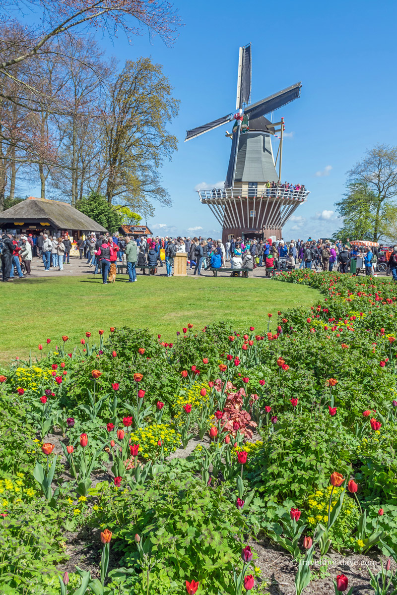 View of Keukenhof's windmill