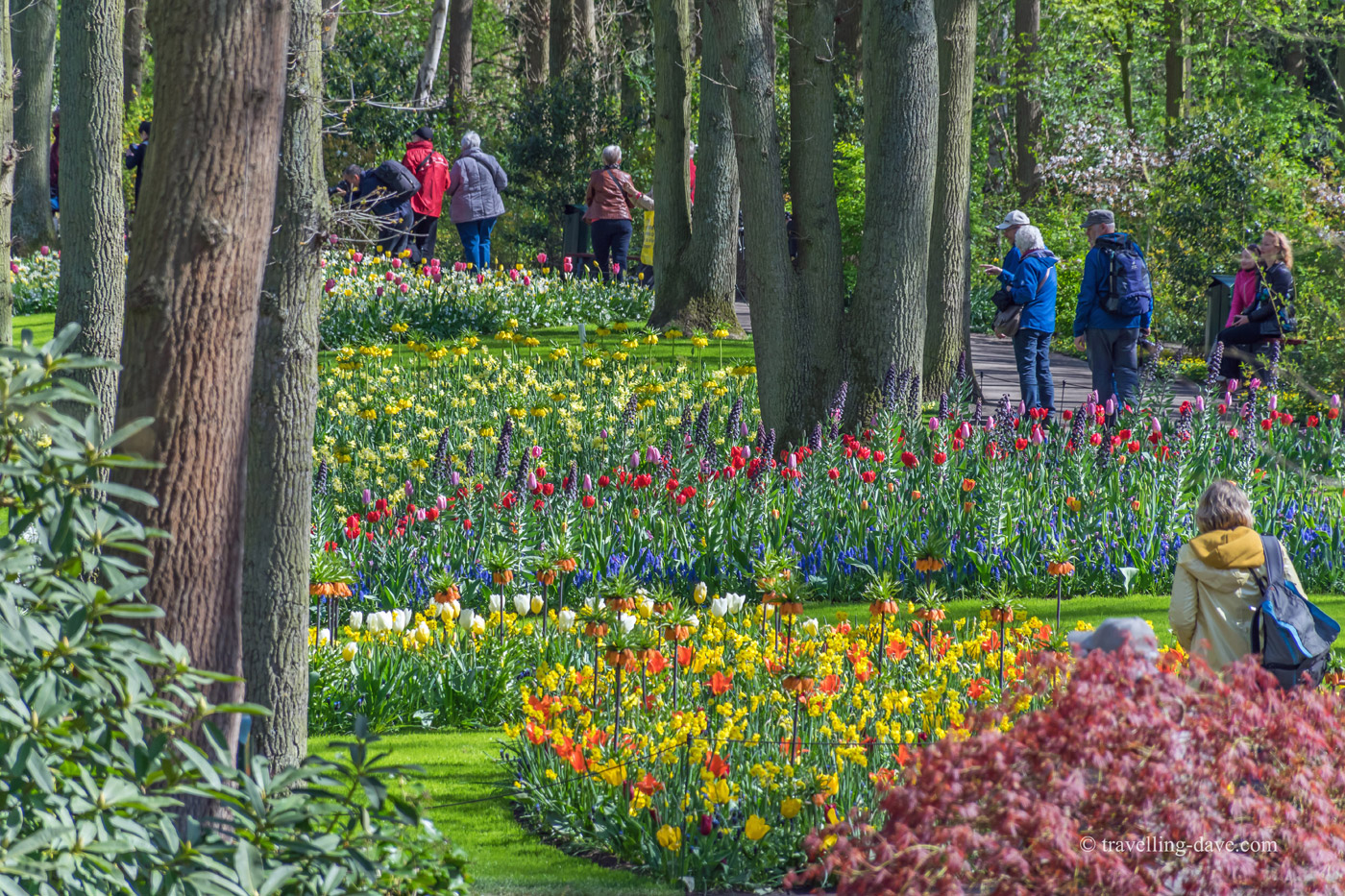 View of some of Keukenhof's visitors