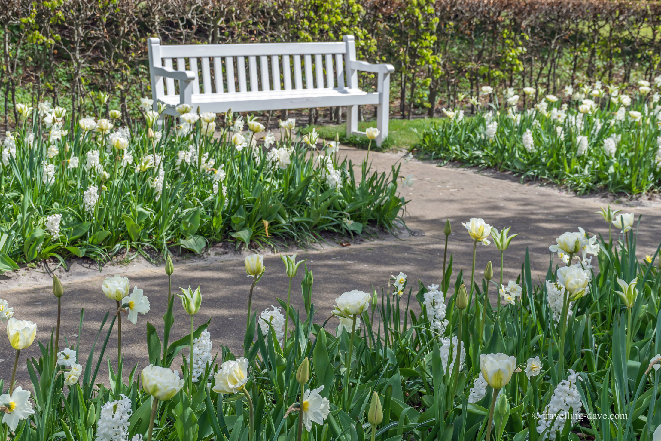View of a quiet spot at Keukenhof