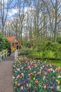 People walking around Keukenhof
