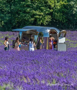 View of a mobile cafe' in a lavender field