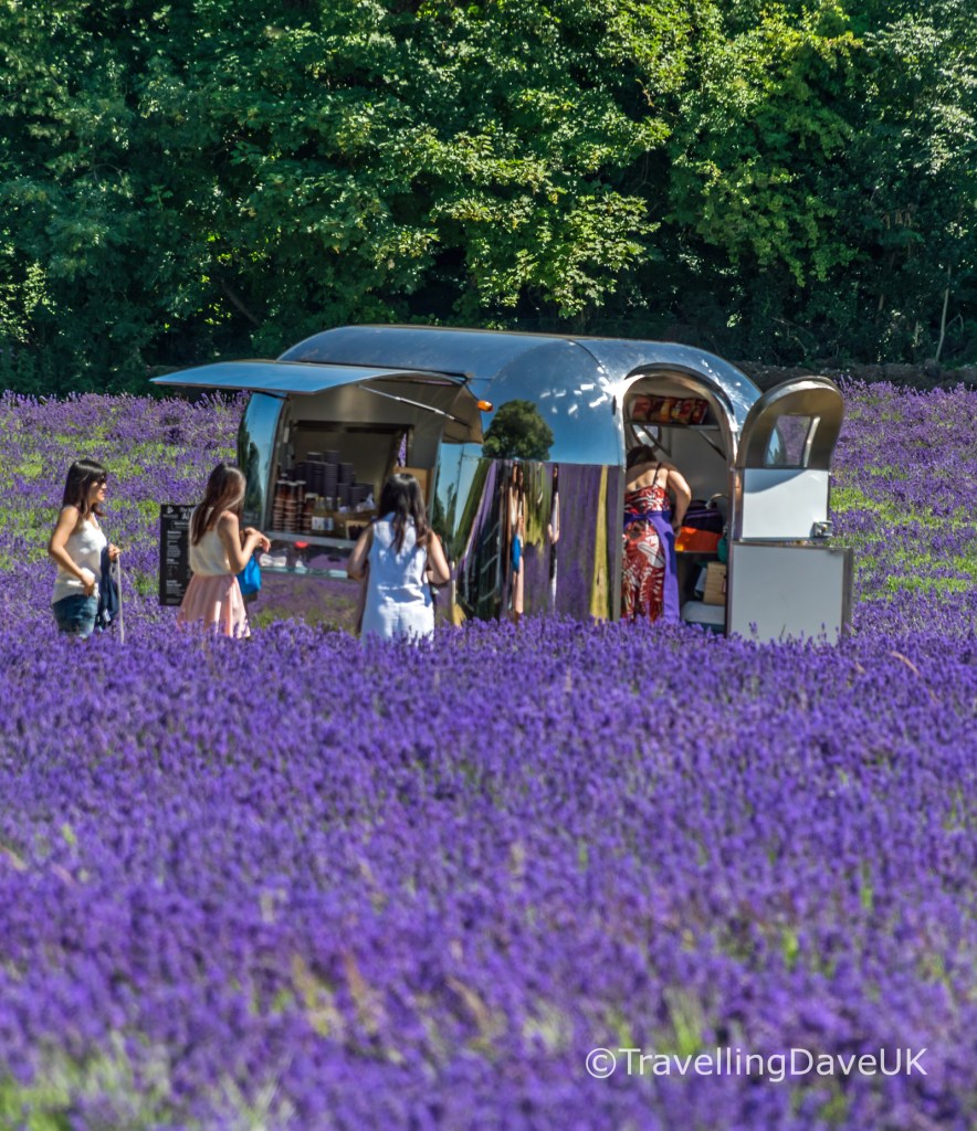 View of a mobile cafe' in a lavender field