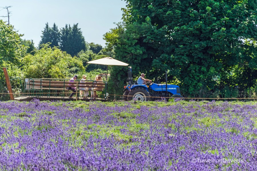 People on a tractor-drawn cart